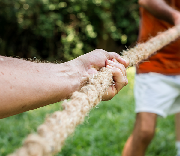 Force basque activité authentique pays basque team building