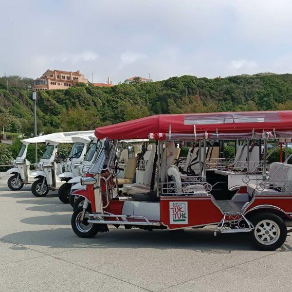 tuktuk transport pays basque séminaire team building